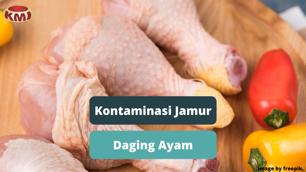 Waspadai Penyebab Jamur Pada Daging Ayam